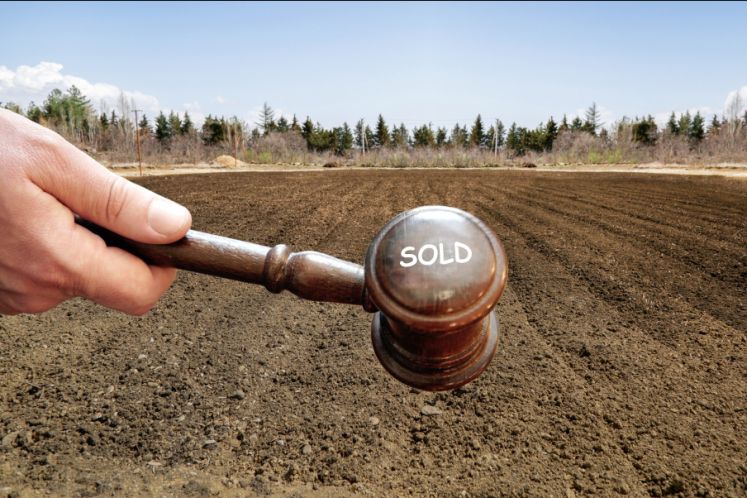 西王食品股票批量上拍：43筆5.56億，一個“玉米油王國”的資本困局