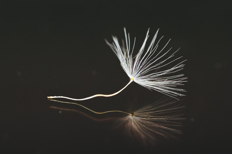 德邦股份主動(dòng)退市：另一種重生