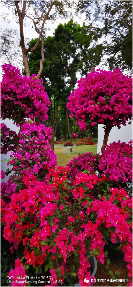 1606982064341538.png 640 (2).png